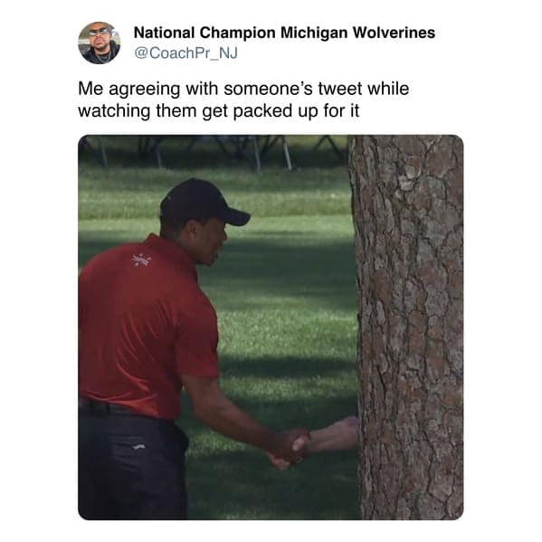 tiger woods memes, Tiger woods tree memes, Tiger woods handshake memes