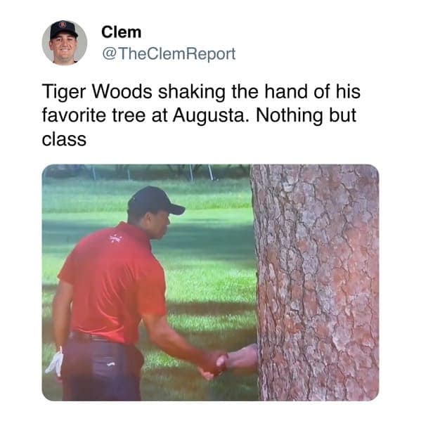 tiger woods memes, Tiger woods tree memes, Tiger woods handshake memes
