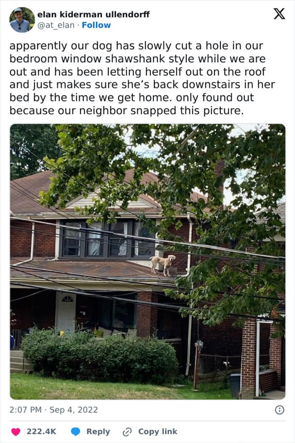 wholesome memes, heartwarming memes, Uplifting memes, Feel-good memes, Random acts of kindness, Humanity restored