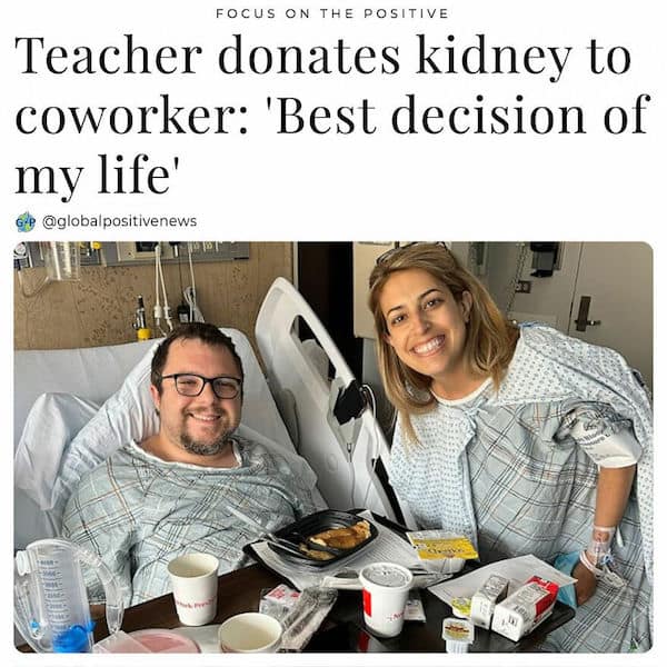 wholesome memes, heartwarming memes, clean memes, Uplifting content, funny pictures, cute animals, mood boosters, internet humor