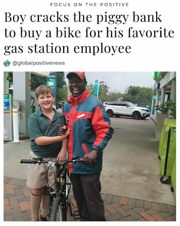 wholesome memes, heartwarming memes, clean memes, Uplifting content, funny pictures, cute animals, mood boosters, internet humor