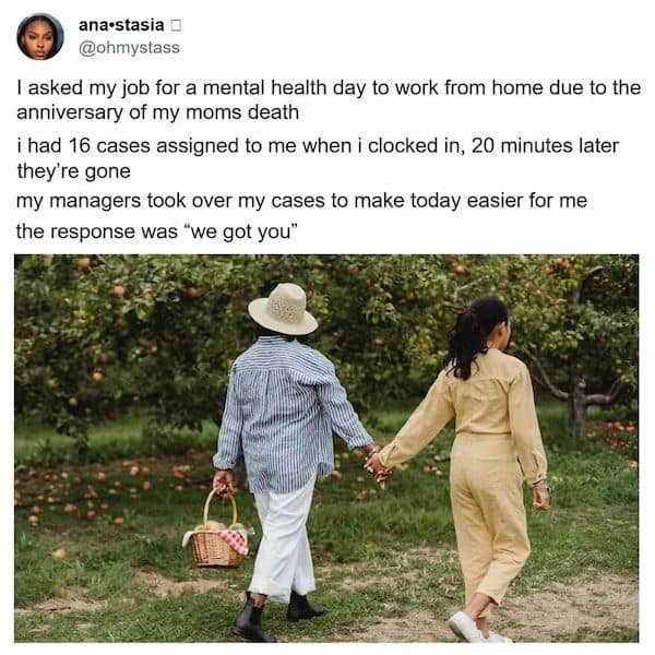 wholesome memes, heartwarming memes, clean memes, Uplifting content, funny pictures, cute animals, mood boosters, internet humor