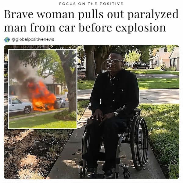 wholesome memes, heartwarming memes, clean memes, Uplifting content, funny pictures, cute animals, mood boosters, internet humor