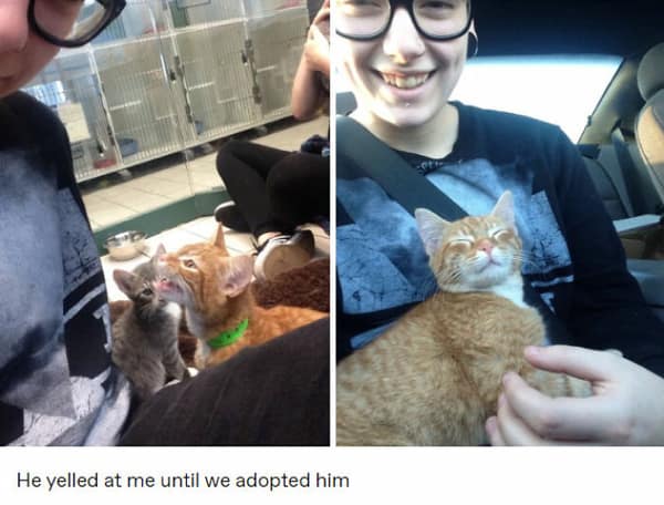 wholesome memes, heartwarming memes, Uplifting memes, Feel-good memes, Random acts of kindness, Humanity restored