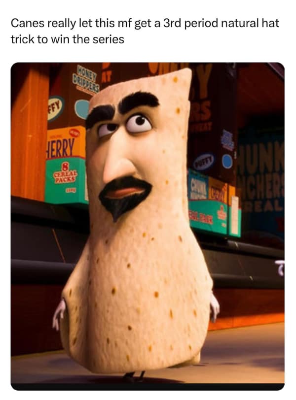 Stanley cup memes, NHL memes, hockey memes, playoff memes, Stanley Cup jokes, NHL humor, hockey comics