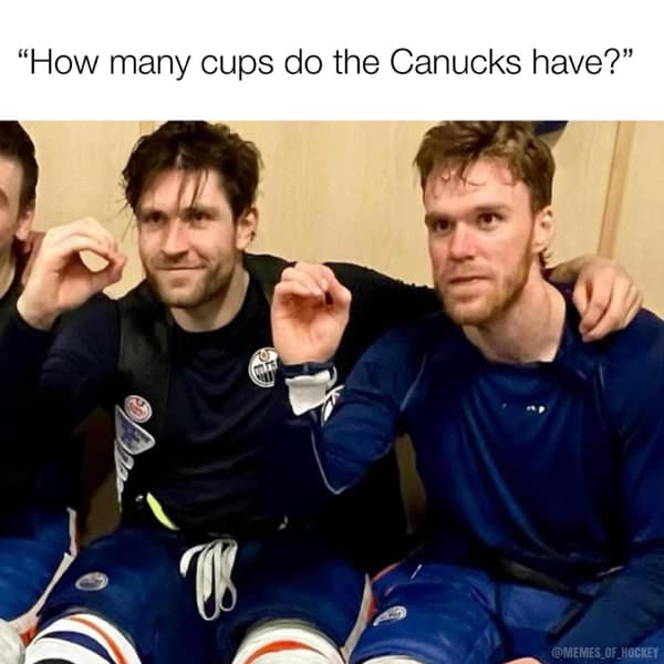 Stanley cup memes, NHL memes, hockey memes, playoff memes, Stanley Cup jokes, NHL humor, hockey comics