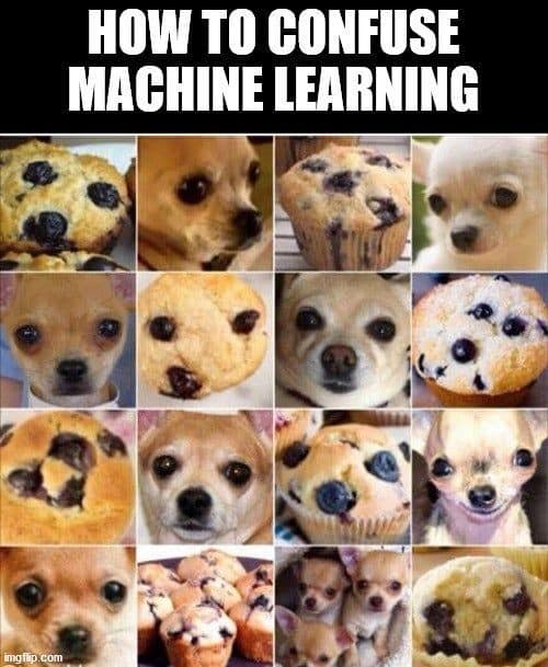 ai memes. HOW TO CONFUSE MACHINE LEARNING
