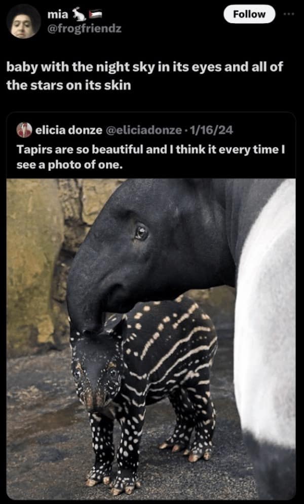 Funny Animal Pictures, Relatable Pet Content, Comic Animal Images, Funny Animal Pictures, Hilarious Pet Photos, Relatable Pet Content, Adorable Animal Antics