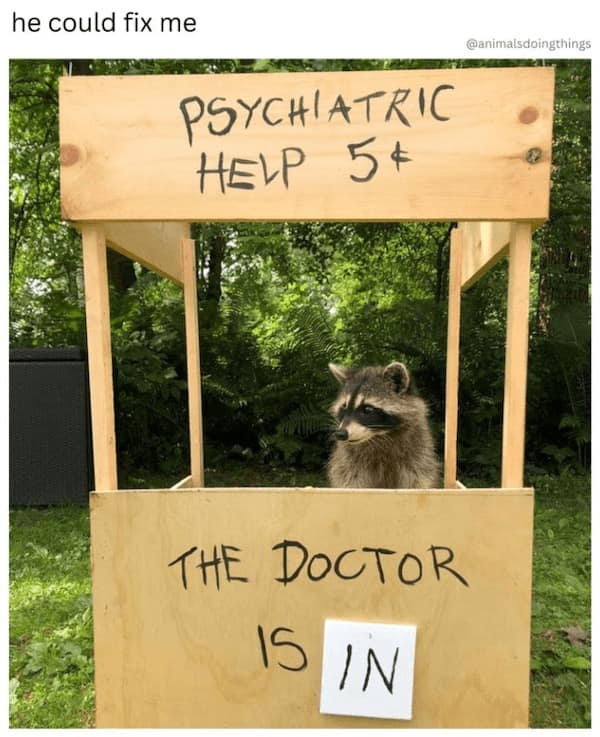 Funny Animal Pictures, Relatable Pet Content, Comic Animal Images, Funny Animal Pictures, Hilarious Pet Photos, Relatable Pet Content, Adorable Animal Antics