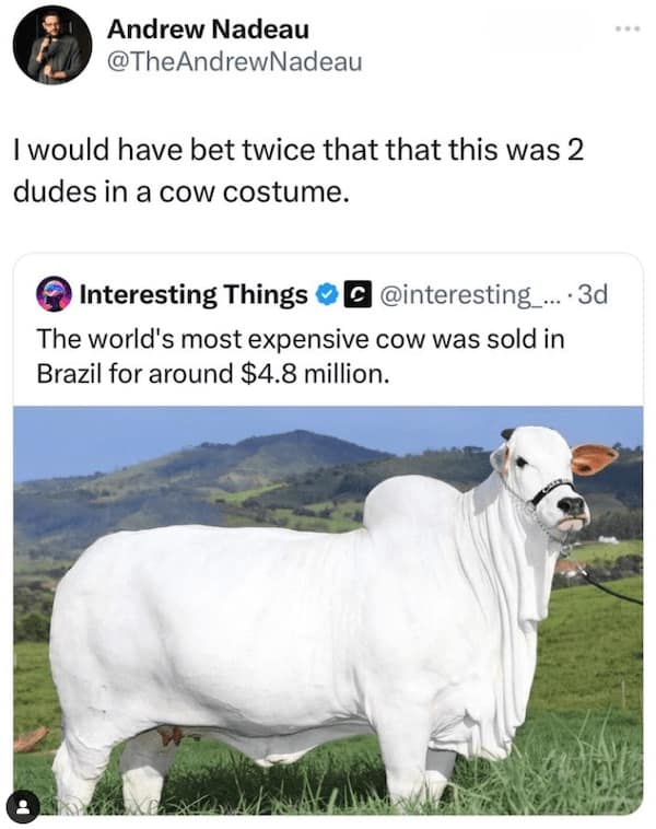 Funny Animal Pictures, Relatable Pet Content, Comic Animal Images, Funny Animal Pictures, Hilarious Pet Photos, Relatable Pet Content, Adorable Animal Antics