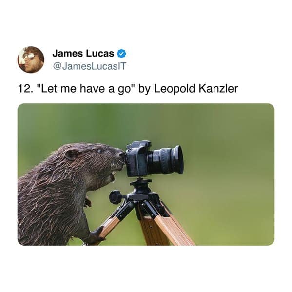 12. "Let me have a go" by Leopold Kanzler