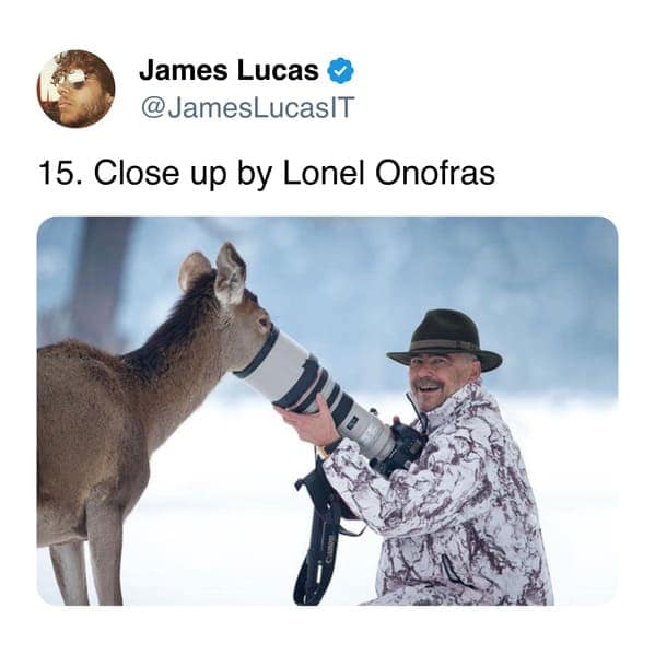 15. Close up by Lonel Onofras