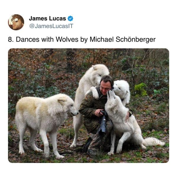 8. Dances with Wolves by Michael Schönberger
