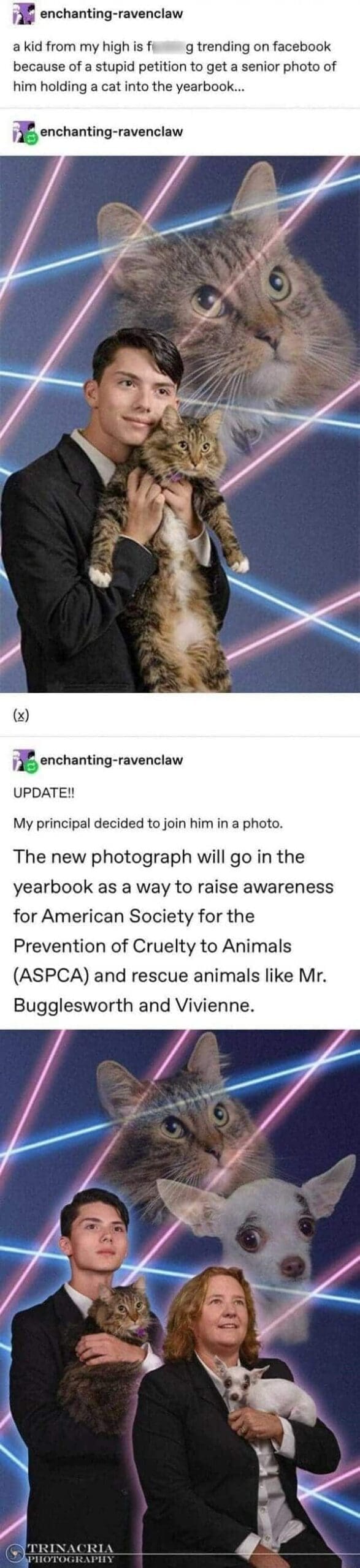 a kid from my high is fi g trending on facebook because of a stupid petition to get a senior photo of him holding a cat into the yearbook...