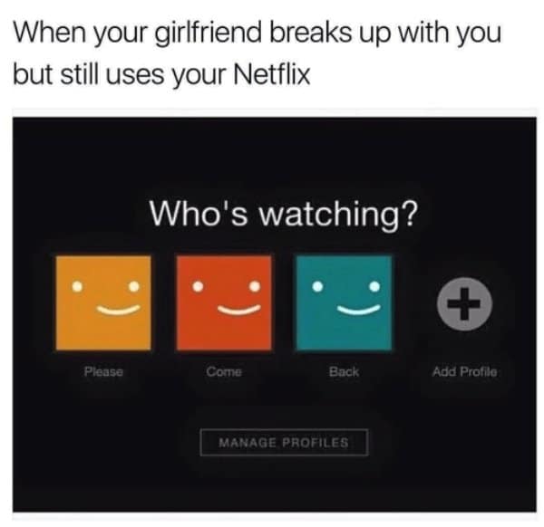 breakup memes. When your girlfriend breaks up with you but still uses your Netflix
