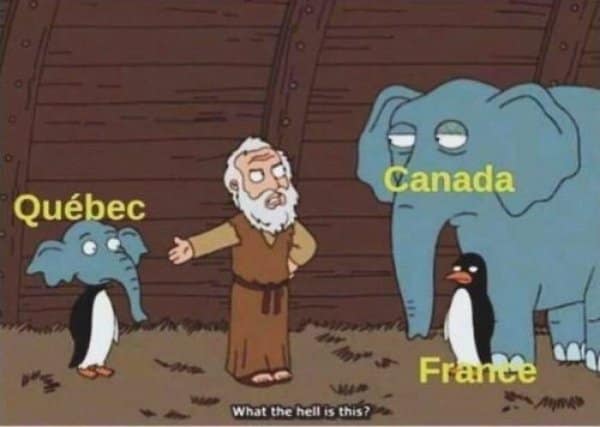 Canadian memes, Canada memes, Canadian Humor, Funny Canadian Content, Canadian Stereotypes, Canuck Jokes