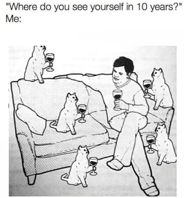 cat memes, Funny Cat Pictures, Hilarious Cat Fails, Feline Funnies, Cat Comedy, Hilarious Kitty Capers