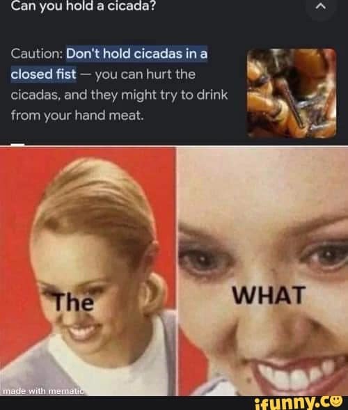 cicada memes, cicadas, brood X, Brood X emergence memes, 17-year cicada memes, Periodical cicada humor, Cicada apocalypse memes, Funny insect memes, Animal life cycle memes