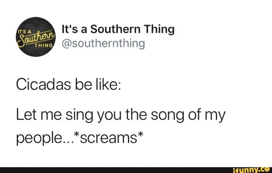 cicada memes, cicadas, brood X, Brood X emergence memes, 17-year cicada memes, Periodical cicada humor, Cicada apocalypse memes, Funny insect memes, Animal life cycle memes