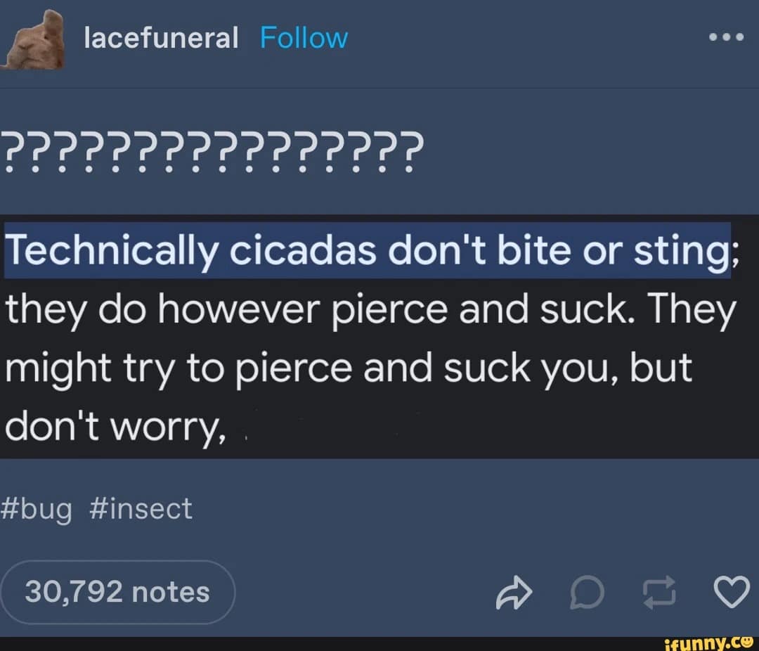 cicada memes, cicadas, brood X, Brood X emergence memes, 17-year cicada memes, Periodical cicada humor, Cicada apocalypse memes, Funny insect memes, Animal life cycle memes