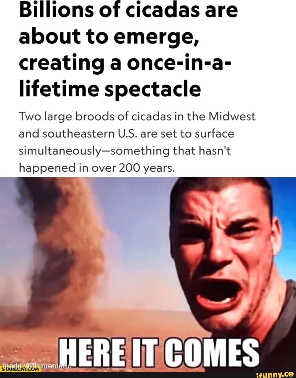 cicada memes, cicadas, brood X, Brood X emergence memes, 17-year cicada memes, Periodical cicada humor, Cicada apocalypse memes, Funny insect memes, Animal life cycle memes