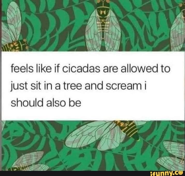 cicada memes, cicadas, brood X, Brood X emergence memes, 17-year cicada memes, Periodical cicada humor, Cicada apocalypse memes, Funny insect memes, Animal life cycle memes