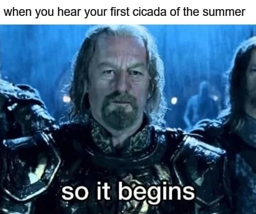 cicada memes, cicadas, brood X, Brood X emergence memes, 17-year cicada memes, Periodical cicada humor, Cicada apocalypse memes, Funny insect memes, Animal life cycle memes