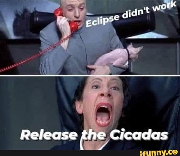 cicada memes, cicadas, brood X, Brood X emergence memes, 17-year cicada memes, Periodical cicada humor, Cicada apocalypse memes, Funny insect memes, Animal life cycle memes