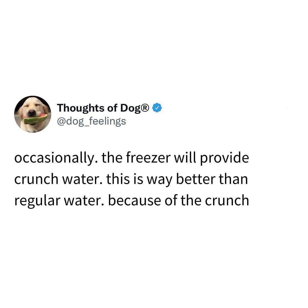 classic memes, vintage memes, viral tweets, Internet Humor, Cultural Touchstones, Iconic Memes, Online Trends, Meme History