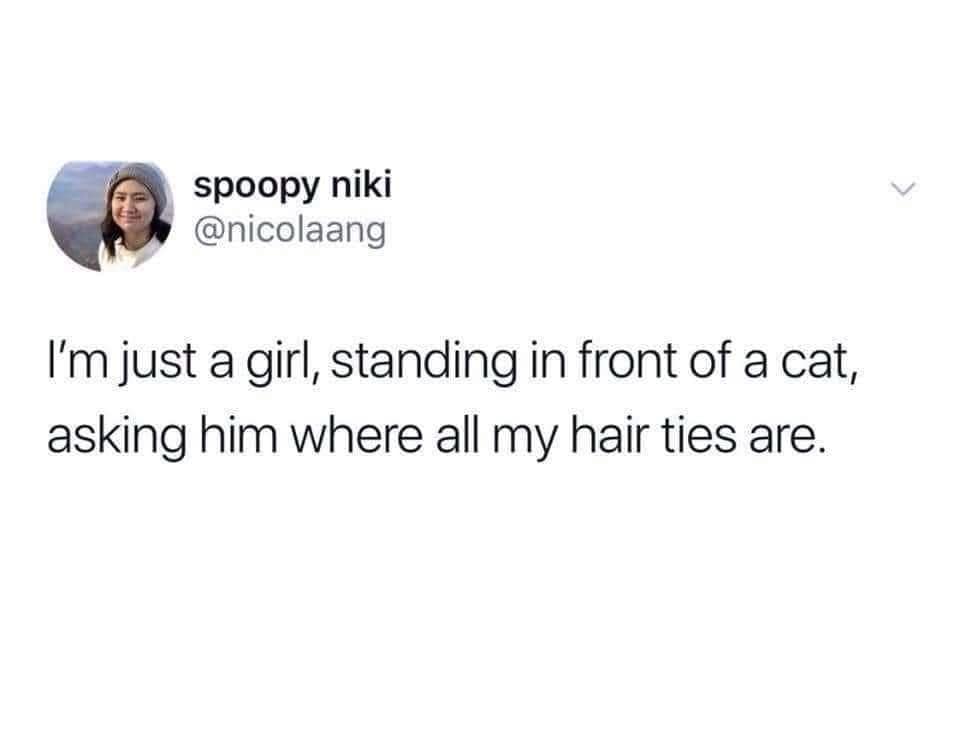 classic memes, vintage memes, viral tweets, Internet Humor, Cultural Touchstones, Iconic Memes, Online Trends, Meme History