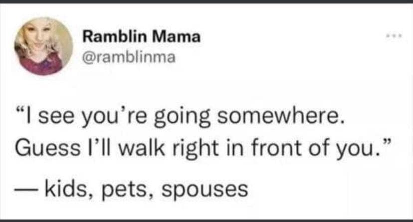 classic memes, vintage memes, viral tweets, Internet Humor, Cultural Touchstones, Iconic Memes, Online Trends, Meme History