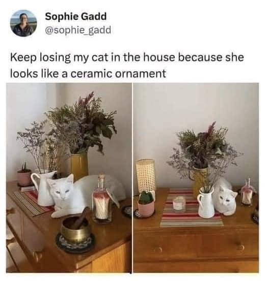 classic memes, vintage memes, viral tweets, funny internet content, Hilarious social media posts, Timeless memes, old memes