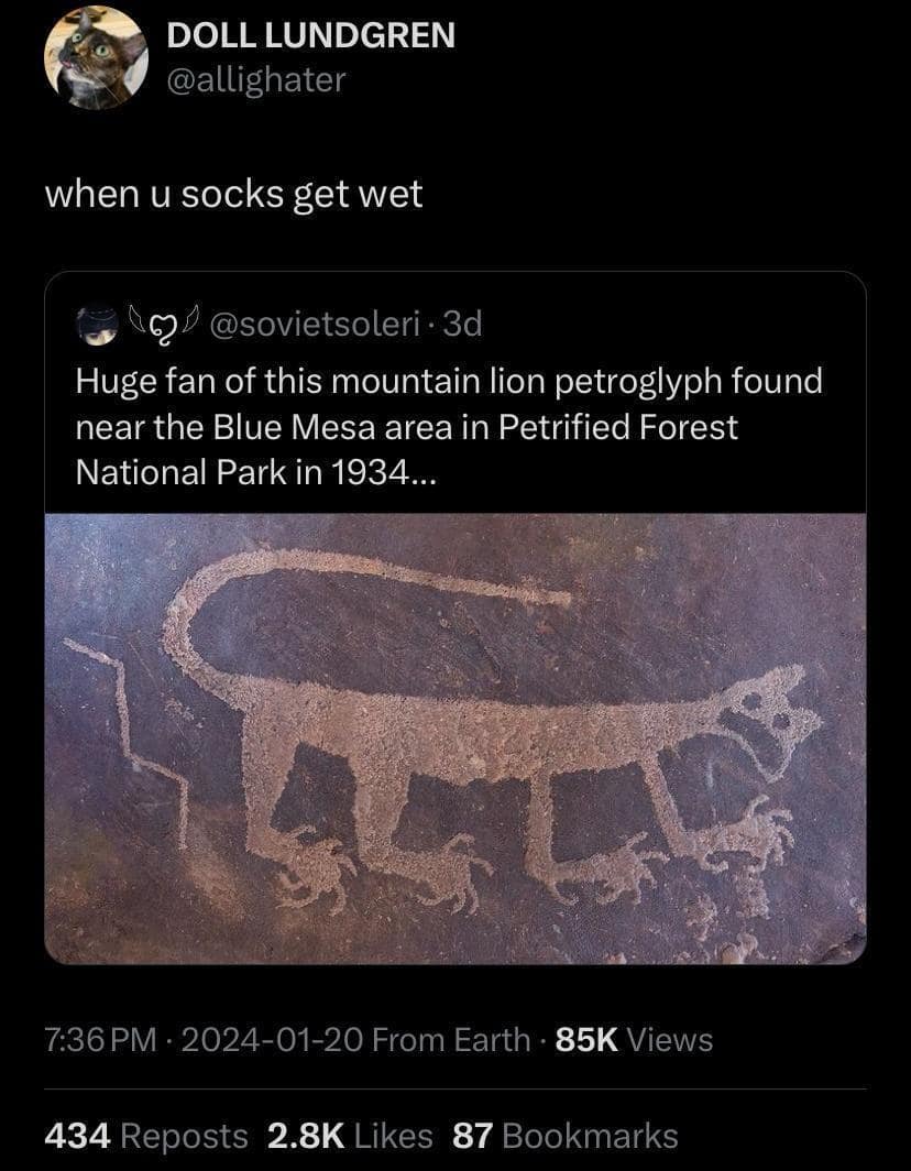 classic memes, vintage memes, old memes, viral tweets, trending tweets, Iconic tweets, Funny internet trends, Popular memes, Nostalgic online humor, Throwback memes