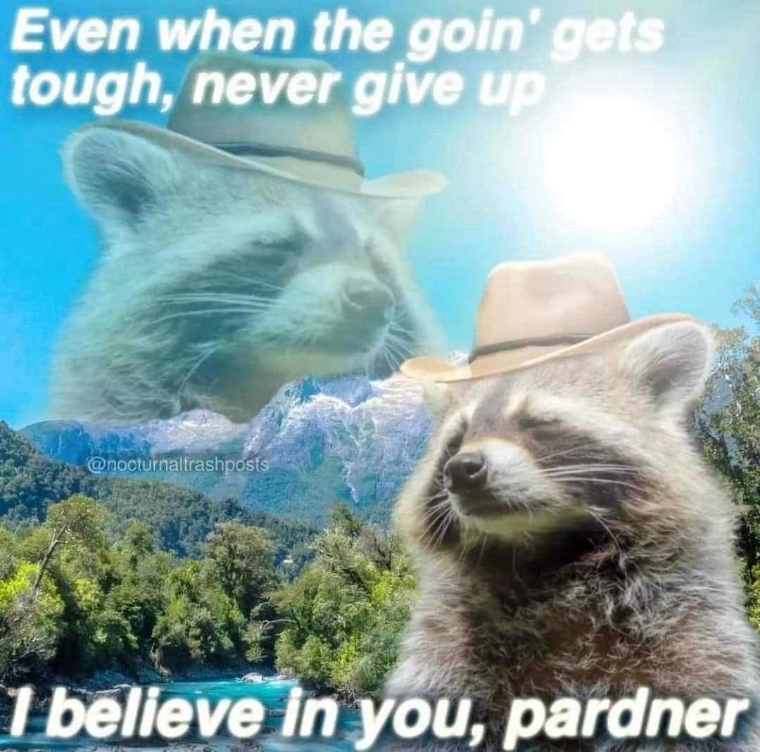 classic memes, vintage memes, old memes, viral tweets, trending tweets, Iconic tweets, Funny internet trends, Popular memes, Nostalgic online humor, Throwback memes