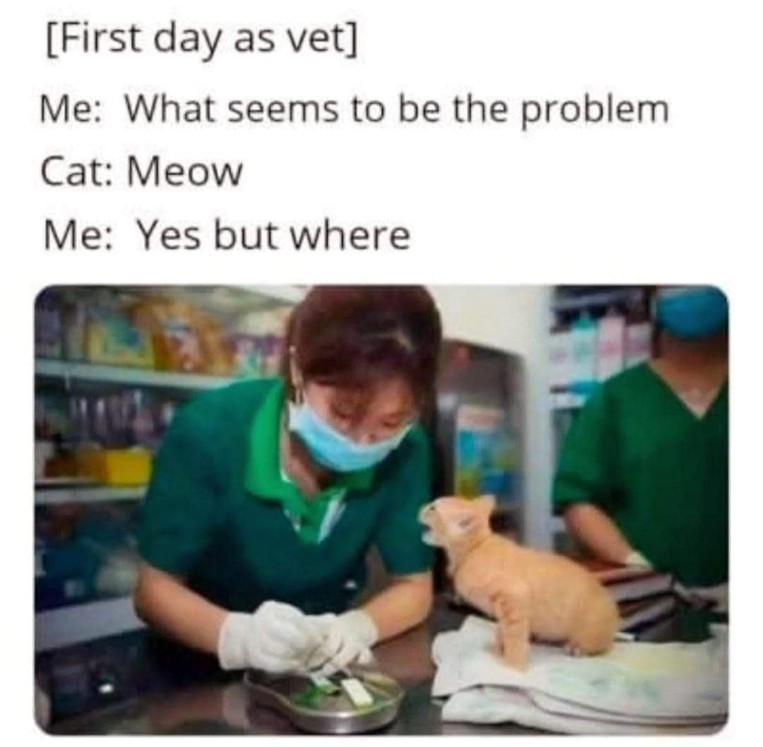 classic memes, vintage memes, old memes, viral tweets, trending tweets, Evolution of Memes, Early Internet Humor, Dank Memes, Edgy Memes, Niche Memes