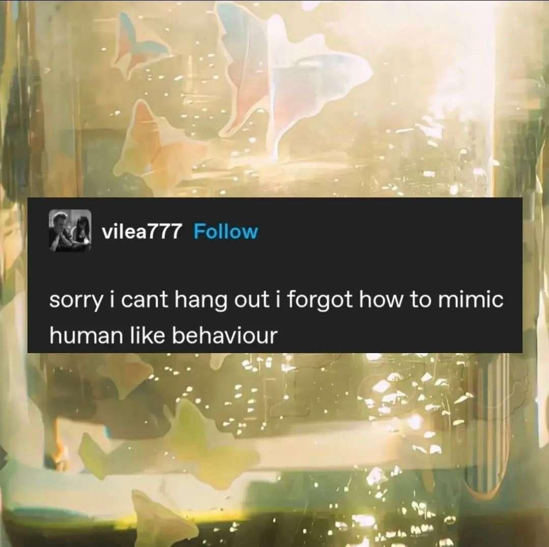 classic memes, vintage memes, viral tweets, best memes, Online Humor Trends, Internet Gold, Meme Masters, Social Media Shenanigans, Web-Wit Wonders