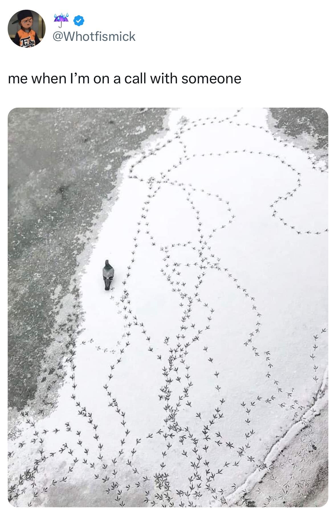 classic memes, vintage memes, viral tweets, digital humor, old memes, best memes, timeless memes, iconic tweets, internet sensations