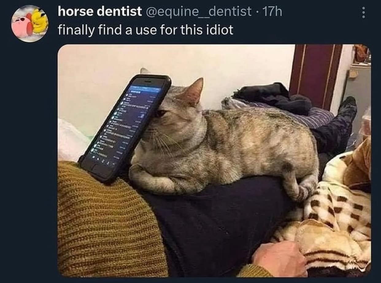 classic memes, vintage memes, viral tweets, nostalgic memes, internet history memes