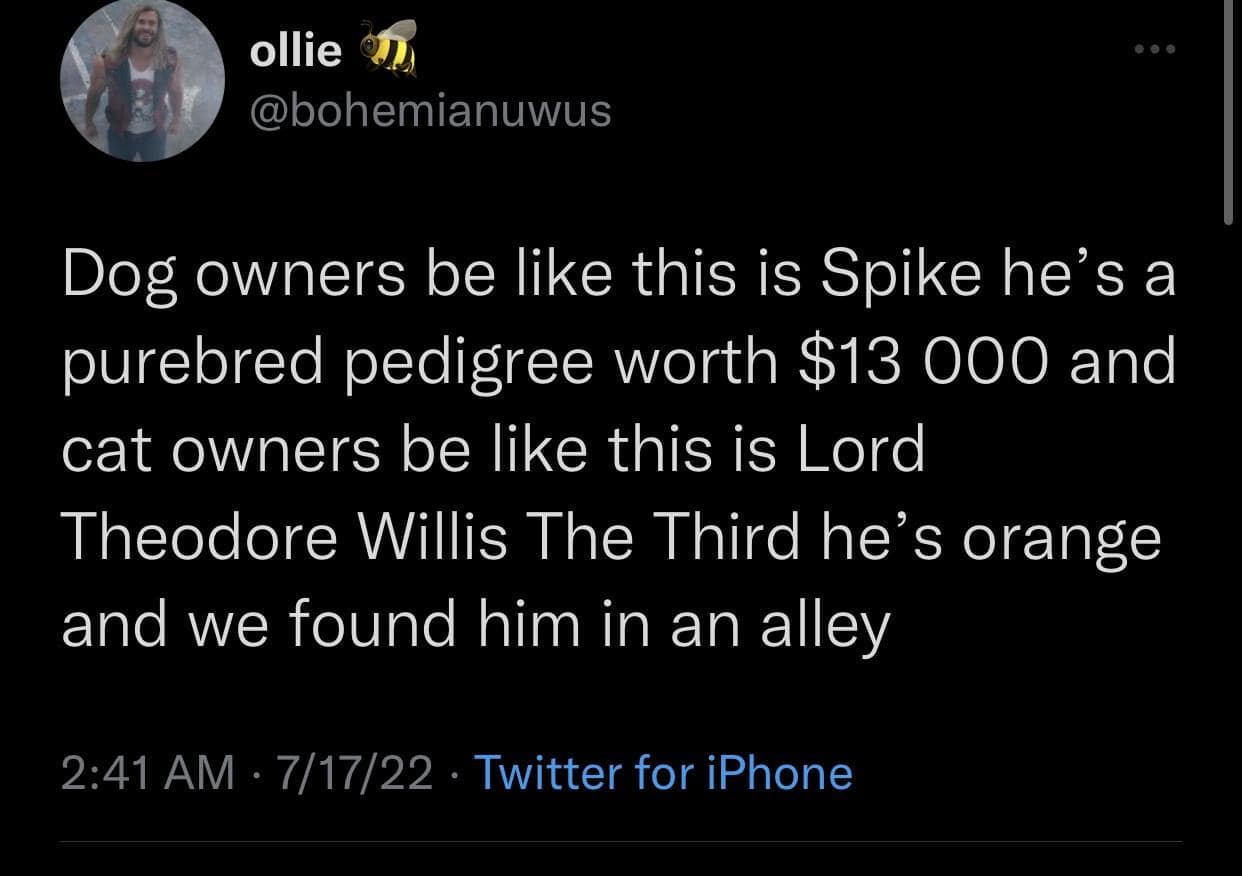 classic memes, vintage memes, viral memes, internet culture, retro memes, old-school memes, iconic memes