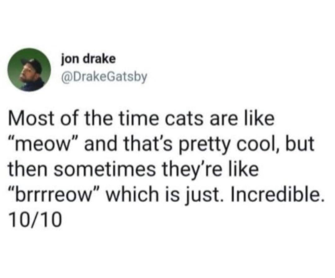 classic memes, vintage memes, old memes, viral tweets, trending tweets, Evolution of Memes, Early Internet Humor, Dank Memes, Edgy Memes, Niche Memes