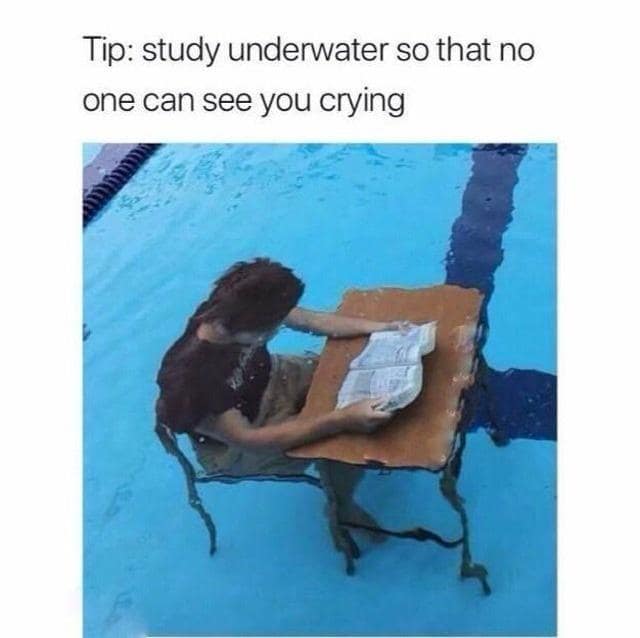 classic memes, vintage memes, viral tweets, best memes, Online Humor Trends, Internet Gold, Meme Masters, Social Media Shenanigans, Web-Wit Wonders