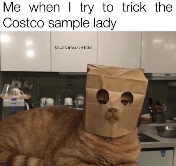 Costco memes. Me when I try to trick the Costco sample lady