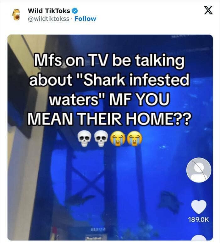cringe TikTok. Mfs on TV be talking about "Shark infested waters" MF YOU MEAN THEIR HOME??
