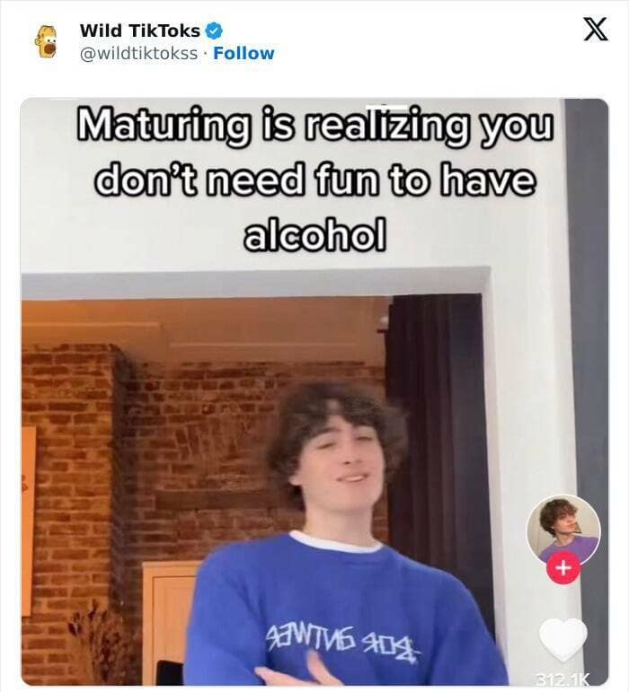 cringe TikTok. Maturing is realizing you don't need fun to have alcohol
