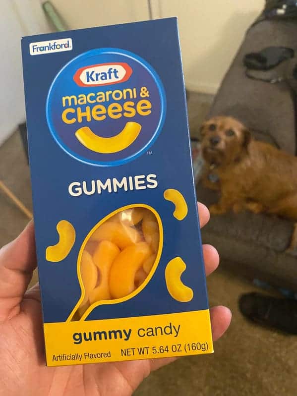 macaroni & CHEESE TM. GUMMIES gummy candy