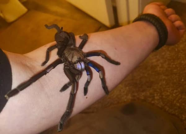 cursed images, weird photos, bizarre pictures, creepy images, unsettling images, eerie photos, strange pictures