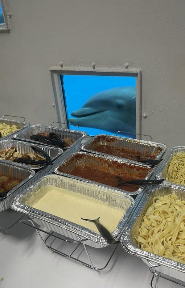 cursed images, Unexplained Online Photos, Disturbing Internet Finds, The Uncanny Valley