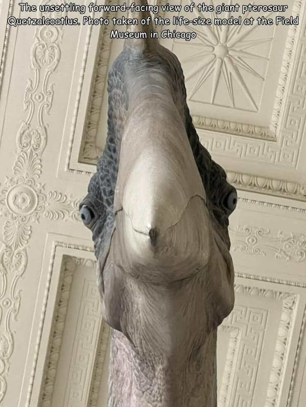 cursed images, weird photos, bizarre pictures, creepy images, unsettling images, eerie photos, strange pictures