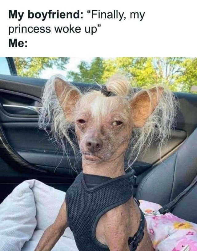 dating memes, Swipe left laughter, dating app parody, relationship meme collection