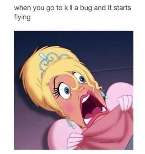 disney memes. when you go to kll a bug and it starts flying